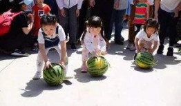 吃瓜运瓜,吃瓜运瓜，共享田园乐趣