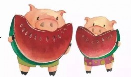 猪喜欢吃瓜,揭秘猪只对瓜果的偏爱之谜