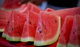 不敢吃瓜的助理,揭秘“不敢吃瓜”助理背后的真相