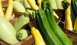 美团专家吃瓜,揭秘美食背后的秘密