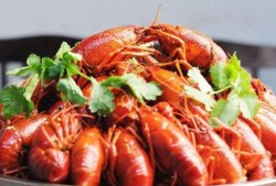 龙虾吃小瓜吗怎么吃的,揭秘它们如何享用小瓜