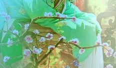 桃之夭夭 吃瓜,揭秘娱乐圈幕后故事