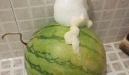 呕吐可以吃瓜么,吃瓜真的可以缓解不适吗？