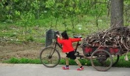 郑州学校长椅吃瓜,校园生活新风尚