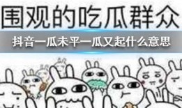 抖音吃瓜媳妇,揭秘网络红人的幕后故事