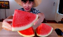 在线吃瓜回放,回顾那些热议事件背后的真相与笑料