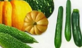 吃瓜老赵,揭秘娱乐圈那些不为人知的幕后故事