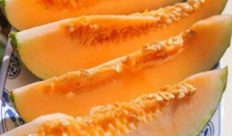 瓜娃子吃的什么,盘点那些令人垂涎的瓜类佳肴