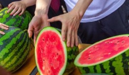 大学吃瓜心理活动,揭秘年轻一代的社交观察与情感共鸣