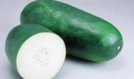 吃瓜会不会吃胖呢图片,揭秘吃瓜是否会引发体重增加