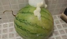 呕吐可以吃瓜么,吃瓜真的可以缓解不适吗？