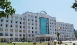 濉溪中学吃瓜,揭秘校园里的“瓜田”风云