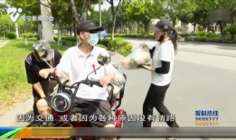 热心吃瓜小市民,揭秘都市生活里的趣味故事