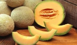 哈密瓜跟钙片能一起吃吗,哈密瓜与钙片同食的注意事项及建议