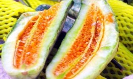 果果ai吃瓜,揭秘吃瓜界的智能新宠