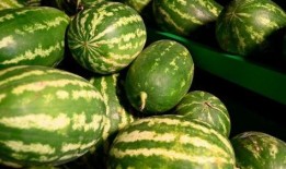 临汾青藤事件吃瓜