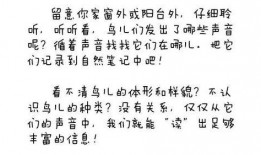 阿春的日记吃瓜,揭秘娱乐圈的甜蜜瓜田