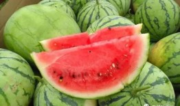 五一吃瓜今日吃瓜娜娜往日大瓜,娜娜昔日大瓜盘点，今日瓜田再掀波澜