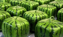 吃瓜源头.中国,中国网络舆论场中的热点追踪与真相探寻