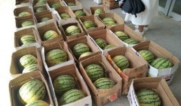 哪个学校有瓜吃,揭秘哪个学校有瓜吃的秘密