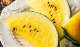 漯河舞阳吃瓜,漯河美食之旅