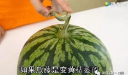 吃瓜都不甜的年代,那些难忘的岁月与味道