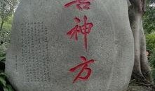 成都吃瓜娃子,吃瓜娃子的味蕾盛宴