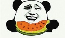 亮剑中吃瓜群众,吃瓜群众视角下的抗战传奇