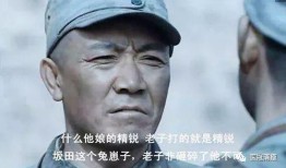 亮剑中吃瓜群众,吃瓜群众视角下的抗战传奇