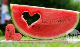 吃瓜能分享吗,如何安全、有趣地参与网络热议