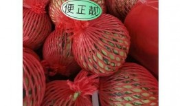 东莞吃瓜有趣事,一网打尽本地奇闻轶事