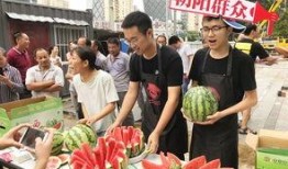 汕头朝阳吃瓜现场