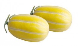 做美容吃瓜,美容吃瓜之旅