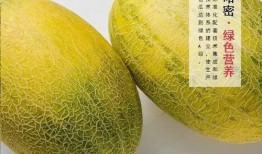 哈密 吃 哈密瓜,探寻新疆哈密的甜蜜诱惑