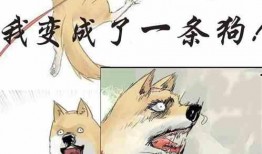 吃瓜被选小说,一场小说中的奇幻之旅