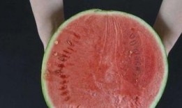 烧伤可以吃冰吃瓜吗