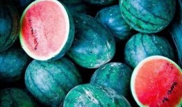 新西兰博士吃瓜,新西兰博士的“吃瓜”奇遇记