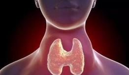 甲亢能否吃高瓜,高瓜食用解析