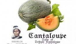 二十不惑二吃瓜,吃瓜群众揭秘娱乐圈风云