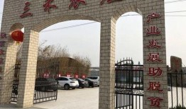 安阳师范吃瓜事件,校园风波背后的真相与反思