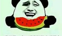 吃瓜的我全集,揭秘娱乐圈背后的真相与秘密