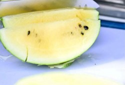 香港金融圈吃瓜事件,揭秘吃瓜事件的背后真相