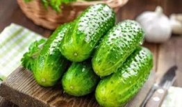 瓜叶子可以吃,从田间到餐桌的绿色之旅