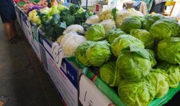 云南大娘吃瓜,田园风光中的甜蜜时光