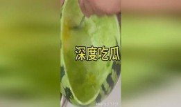 吃瓜群众保湿度,揭秘夏日保湿度与生活品质的微妙关系