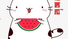 吃瓜表情拍照图片大全,趣味横生的表情包盛宴