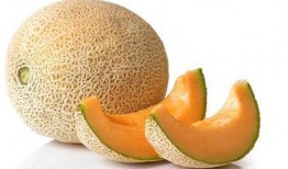 哈密瓜能不能晒干吃呢,晒干哈密瓜可否成为新食尚？