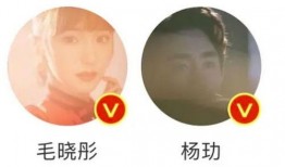 细心的吃瓜群众