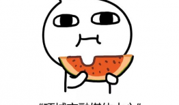 吃瓜怪盗,瓜田里的神秘传奇