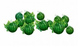 阿畅吃瓜,揭秘娱乐圈那些不为人知的幕后故事